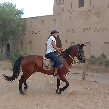 Отель Kasbah Dar Dmana Скура Экстерьер фото